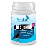 BlackBird | Potenciador de eumelaninas (Oxidación canarios negros)