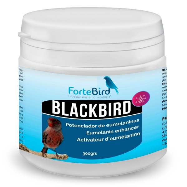 BlackBird | Potenciador de eumelaninas (Oxidación canarios negros) BlackBird | Potenciador de eumelaninas (Oxidación canarios negros)