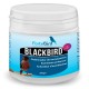BlackBird | Potenciador de eumelaninas (Oxidación canarios negros) BlackBird | Potenciador de eumelaninas (Oxidación canarios negros)