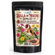 Bella de Noche (Especial mascara de los jilgueros)