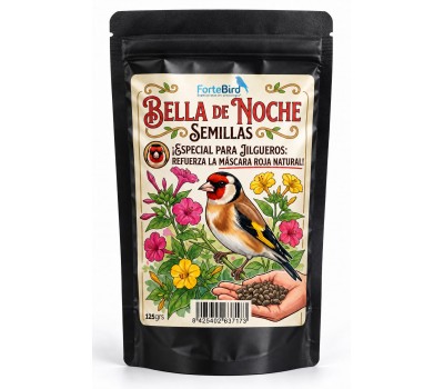 Bella de Noche (Especial mascara de los jilgueros)