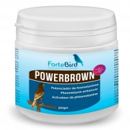 PowerBrown 300 grs | El potenciador perfecto de feomelaninas para el plumaje de sus aves