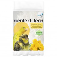 Diente de León | Betacaroteno y Vitamina A