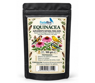 Echinacea en polvo (promueve las defensas inmunitarias)