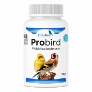 ProBird | Probiòtico bacteriano