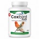 Coxbird Forte | Suplemento para coccidios