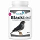 BlackBird | Potenciador de eumelaninas (Oxidación canarios negros)