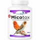 Micotox de ForteBird  (secuestrante de Micotoxinas) 