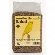 Semilla de la Salud Fortebird