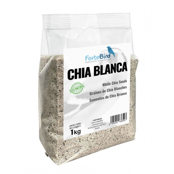 Chia Blanca Fortebird Chia Blanca Fortebird