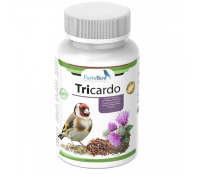 Tricardo (Cardo Mariano / Cardón / Cardo Estrellado) Excelente Protector Hepático